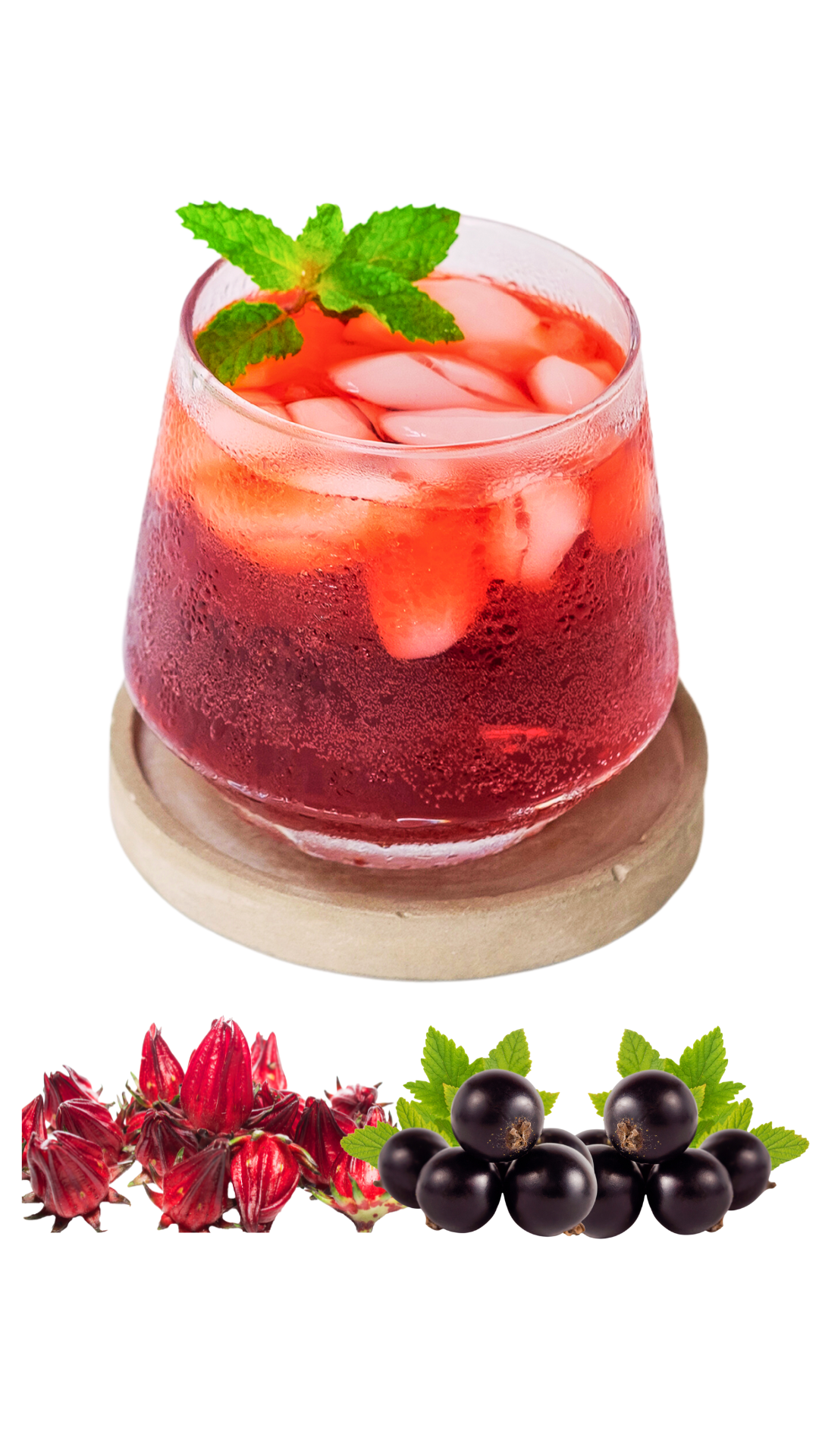 Iced Tea ++ Hibiscus-Blackcurrant