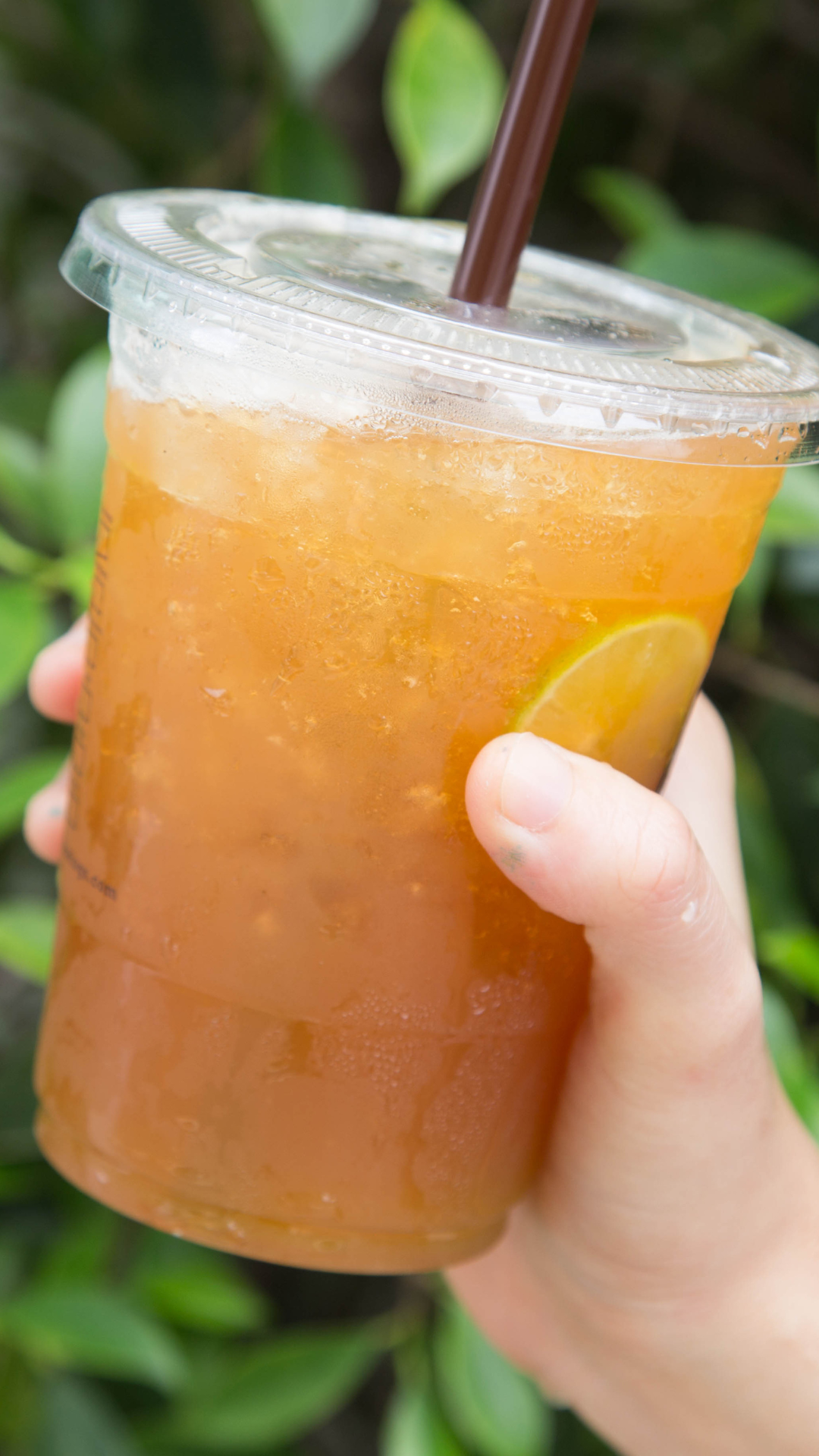 Iced Tea ++ Lemon - 330ml